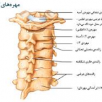 faramassage-neck pain